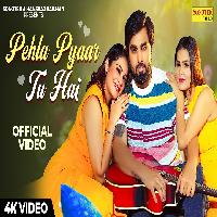 Pehla Pyaar Tu Hai Armaan Malik Ft Kritika Malik X Payal Malik By Paras Chopra Poster
